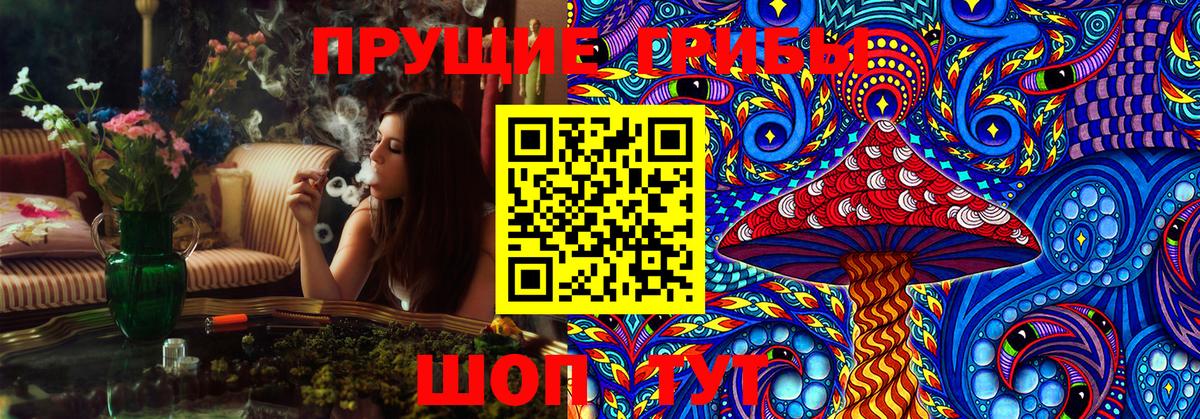 Галлюциногенные грибы Psilocybe  Псилоцибиновые грибы ЛСД  Вход с VPN  Сорочинск 